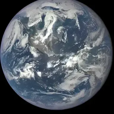 Profile image of You vs Earth