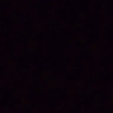 Profile image of 허홍