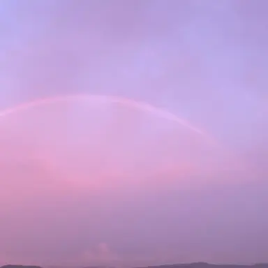 Profile image of 아르덴 레온하르트