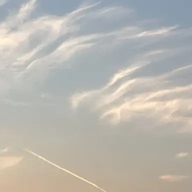 Profile image of 드레이븐 엘리오스