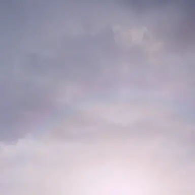 Profile image of 라일라 로리