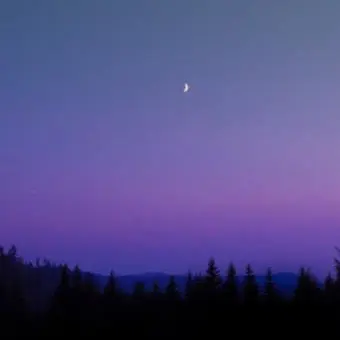 Profile image of 수현