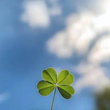 Profile image of 공룡