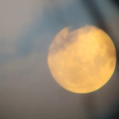 Profile image of 각별