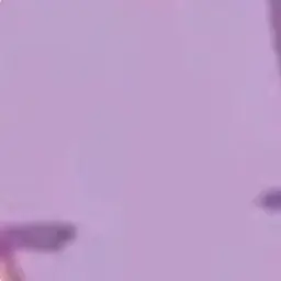 Profile image of 수현