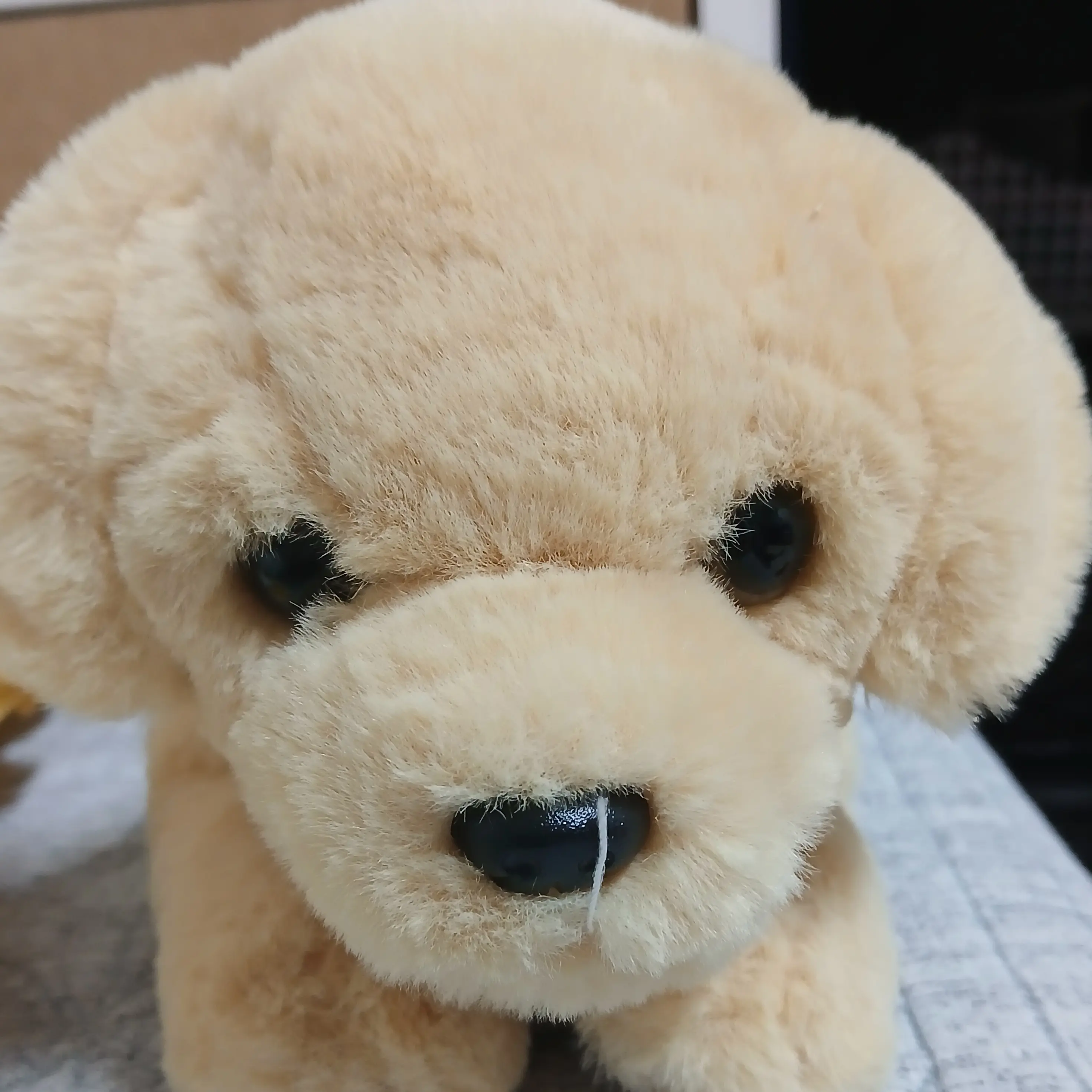 samgubsal의 노랑이