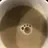 재현