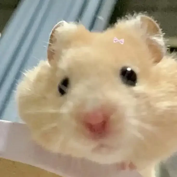 유민