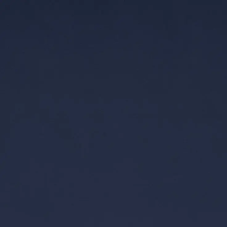 C.bin_y의 남예준