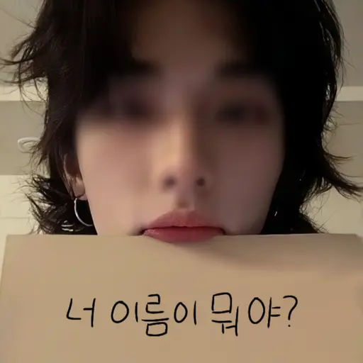 OpenOx1206의 황현진