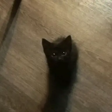 Profile image of 이유연