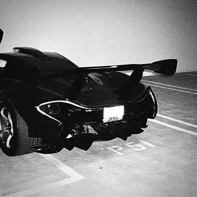 Profile image of Enzo