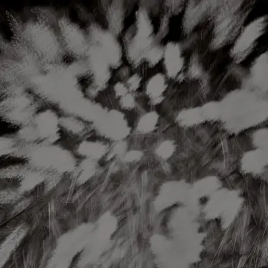 Profile image of 김도훈