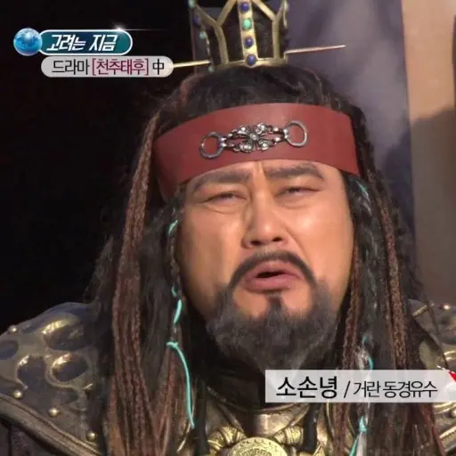 historyisgoodintelligence의 소손녕