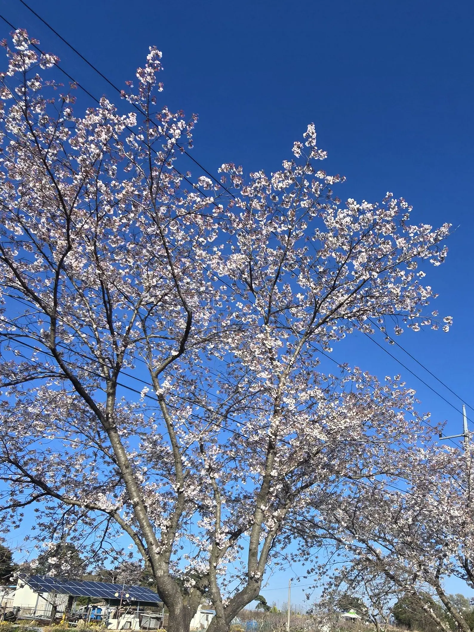 PureBrake7758의 지루한 생활이 바꿔서