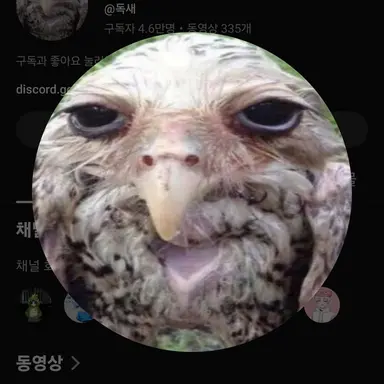 Profile image of 독새