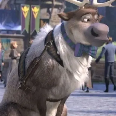 Profile image of Sven