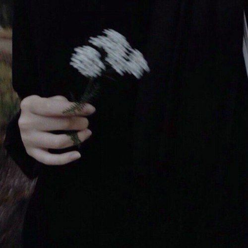정경태 대표 이미지