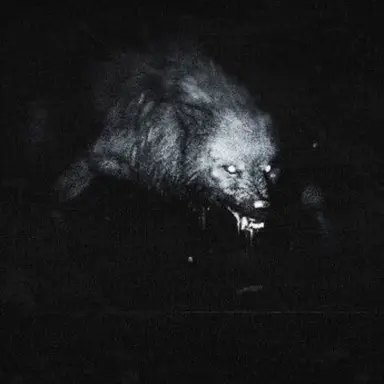 Profile image of Thornev