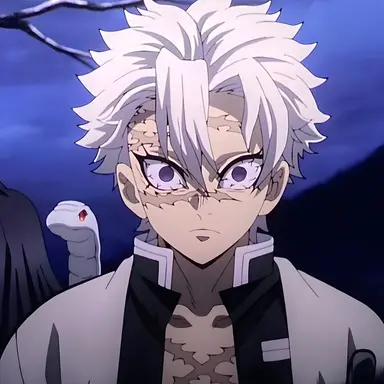 Profile image of 시나즈가와 사네미