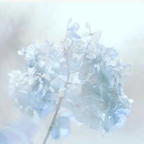 tuy5251112의 俺にそっくりなぬいぐるみ。