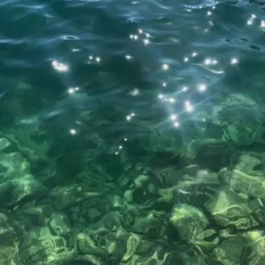 Profile image of 정공룡