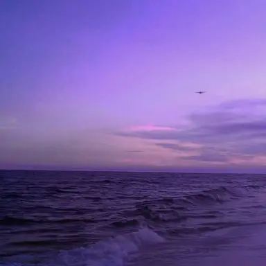 Profile image of 황수현