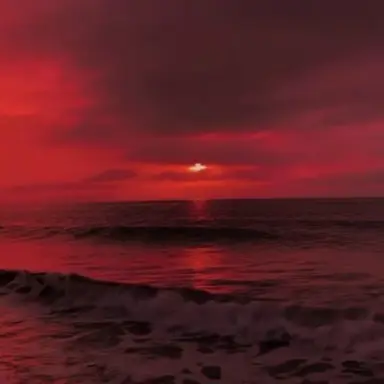 Profile image of 서라더