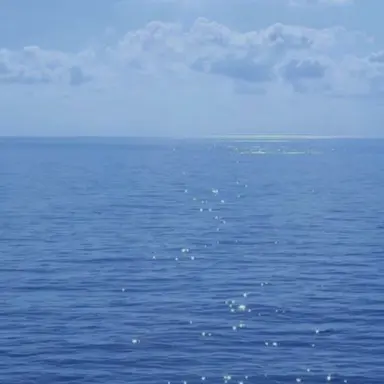 Profile image of 박잠뜰