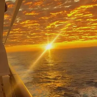 Profile image of 김각별