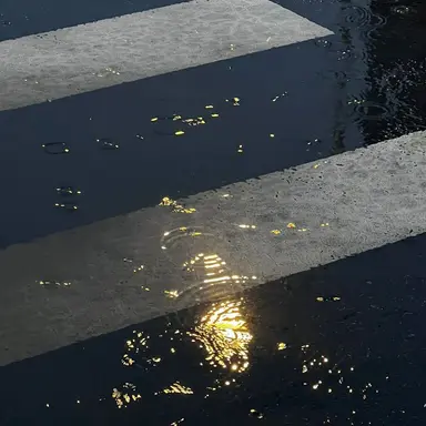 Profile image of 안효성