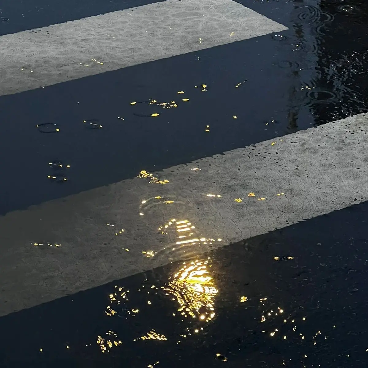 .__poituy의 [BL] LA