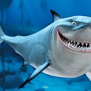 Profile image of 브루스