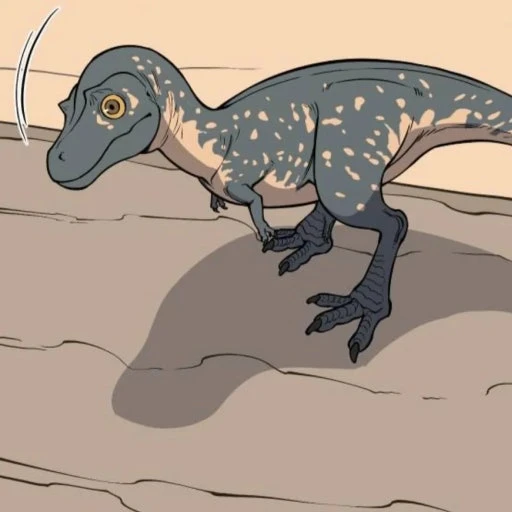 노바