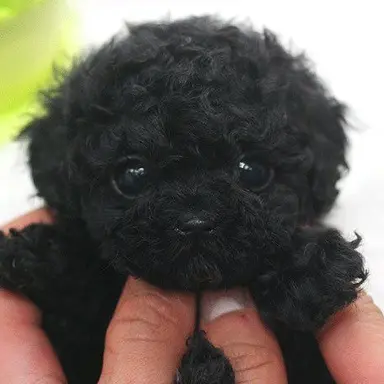 Profile image of 서창빈
