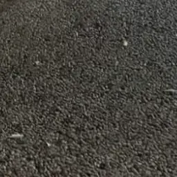 WavyKnee4144의 推しの推し