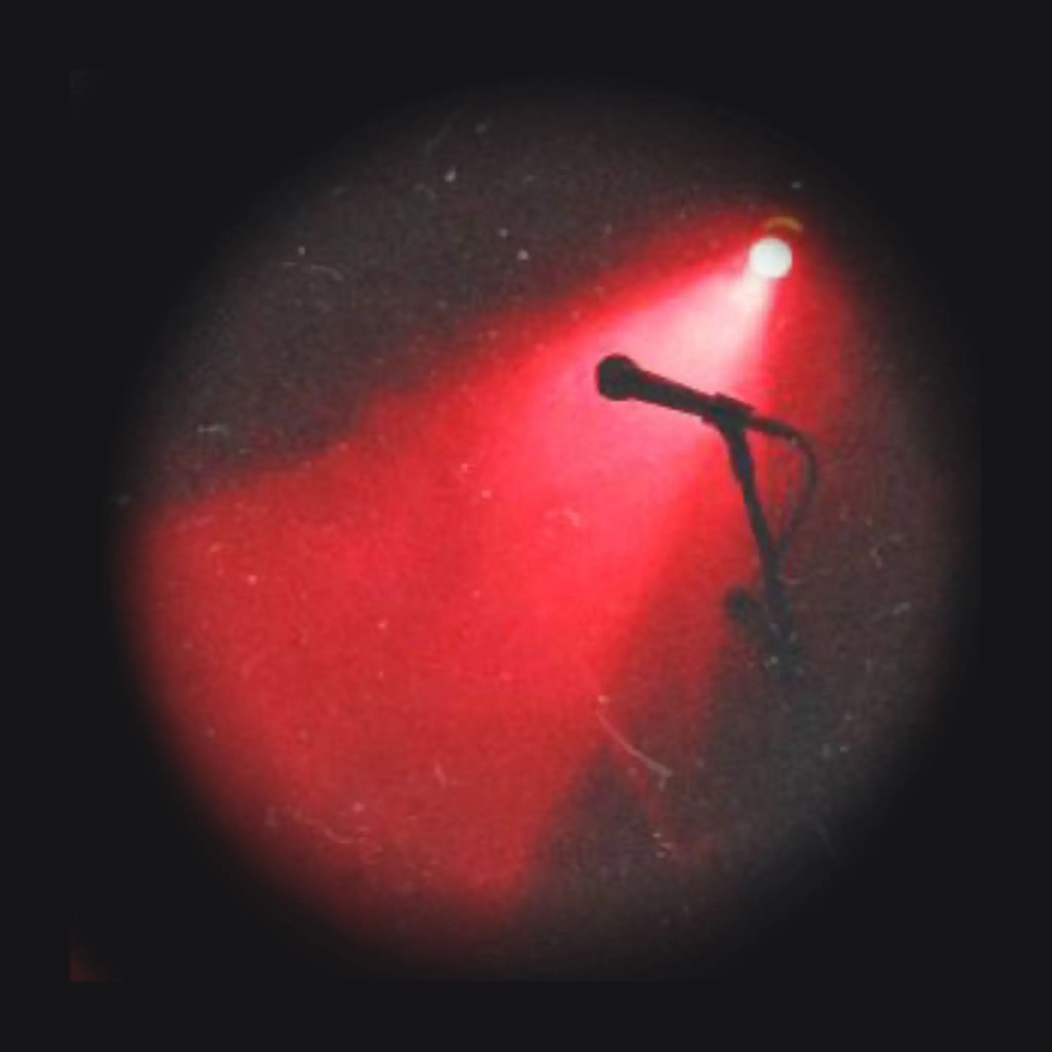 NOlR의 [ 밴드 ’팀샐러드‘ ]