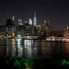 HazyFlute4737의 Fat Furry City