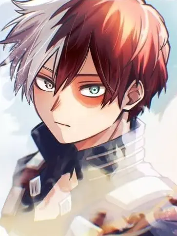 Novachanz의 Shoto Todoroki