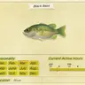 Profile image of Brent The Black Bass