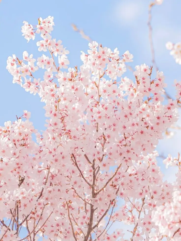 Sky_Post_Office의 .