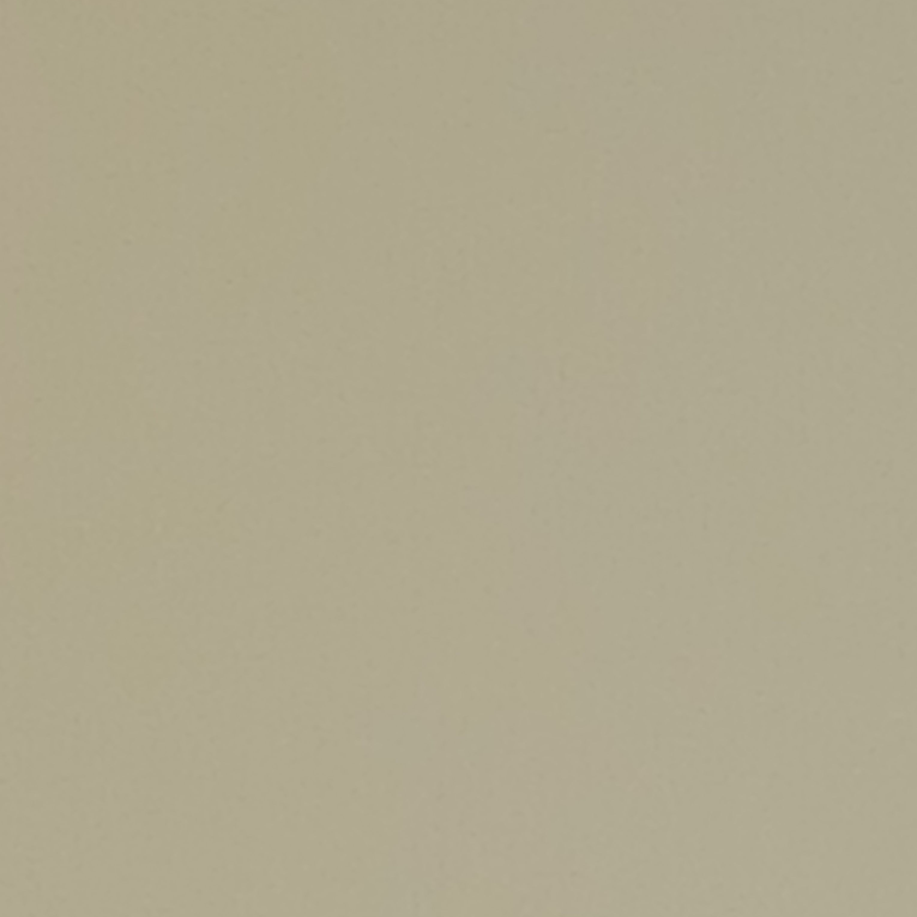 갠용 대표 이미지