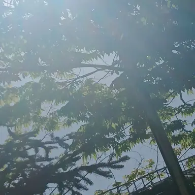 Profile image of 황민현