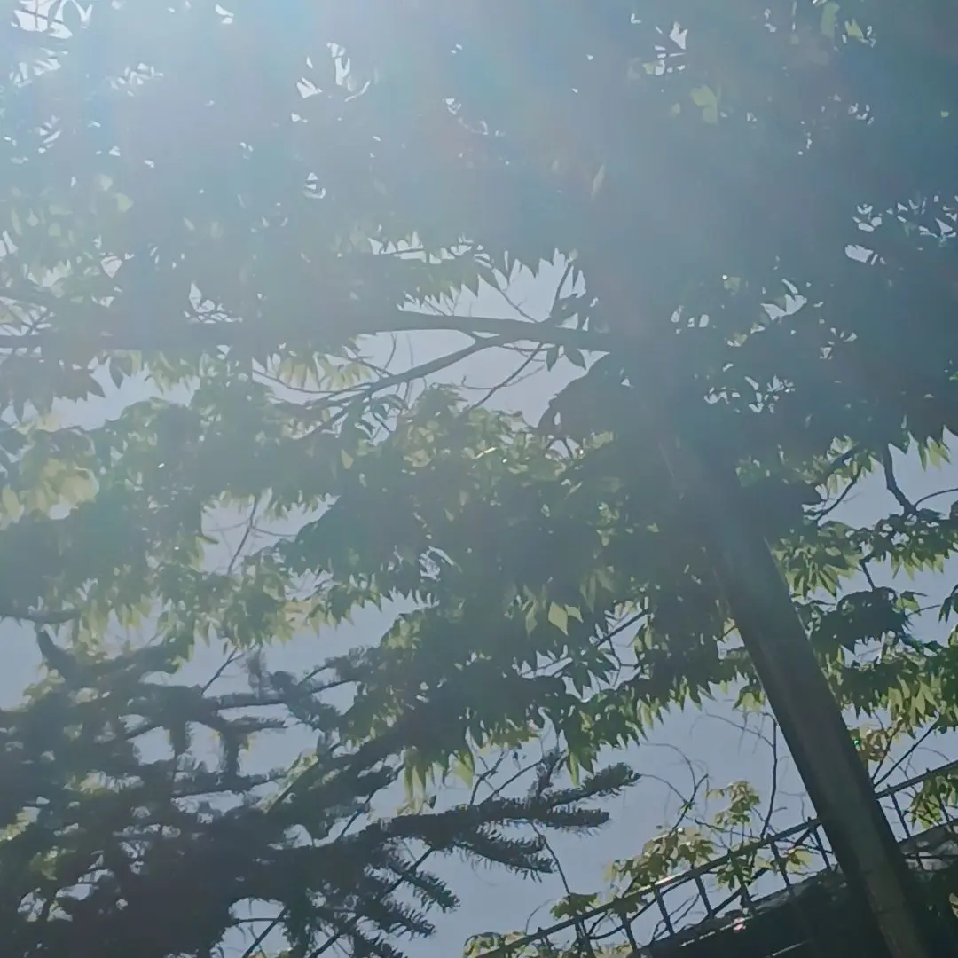 MAY_love111815의 워너원