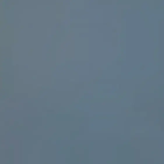 fjsw의 罰   ゲーム