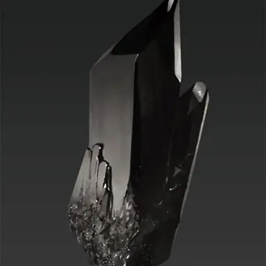 Profile image of 테리 베어