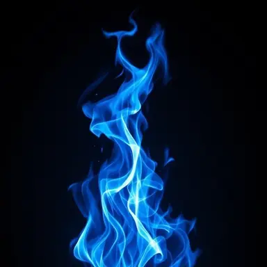 Profile image of 버너