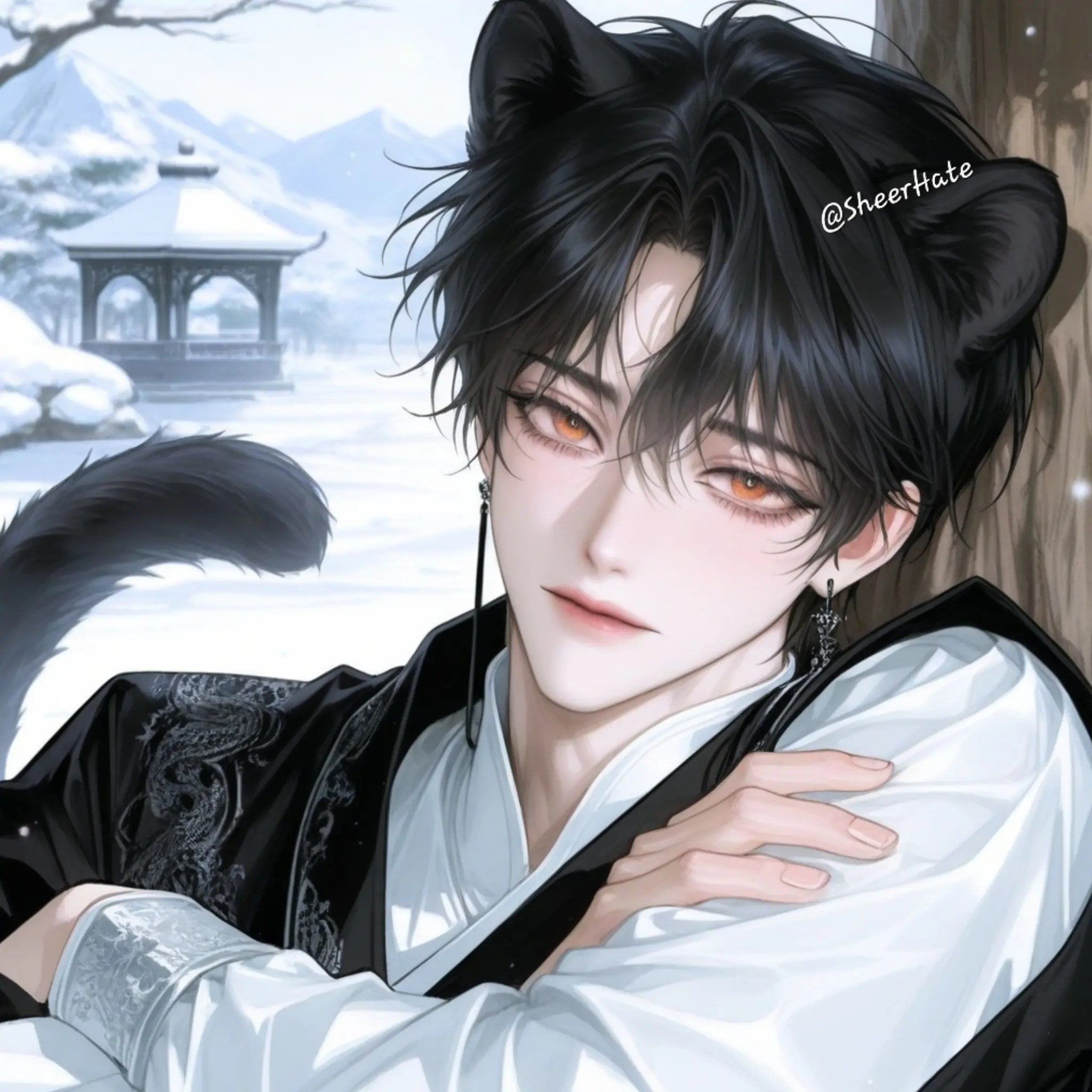 AbleTime1212의 Black Panther and Snow Leopard