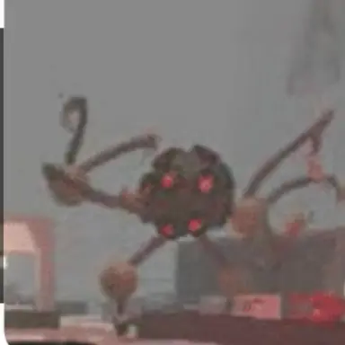 Profile image of 왕