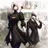 2B 9S